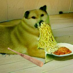 Buy a #DogeBonk and you will never have spilt spaghetti dirty your floors again 

#meme #memes #memecoin #memecoins