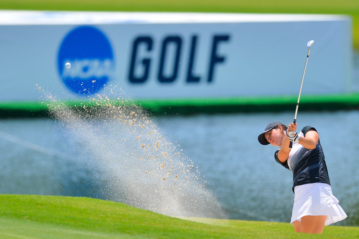 TexasTechWGolf's tweet photo. 5️⃣0️⃣ years of Title IX

From past to present, the opportunities for women in sports continue to grow, and we are grateful for those who came before and honored to build on their legacy.

#TTUTitleIX50 https://t.co/zAhARWzVTf