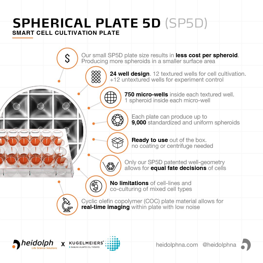 HeidolphNA's tweet image. Discover the 5th dimension of smart cell cultivation

#cellcommunication #cellularmigration #cellularmatrix #invivo #biochemical #spheroids #3dspheroids #3daggregates #isletcells #stemcellbiology #scaffold #3dcultures #spheriodproduction