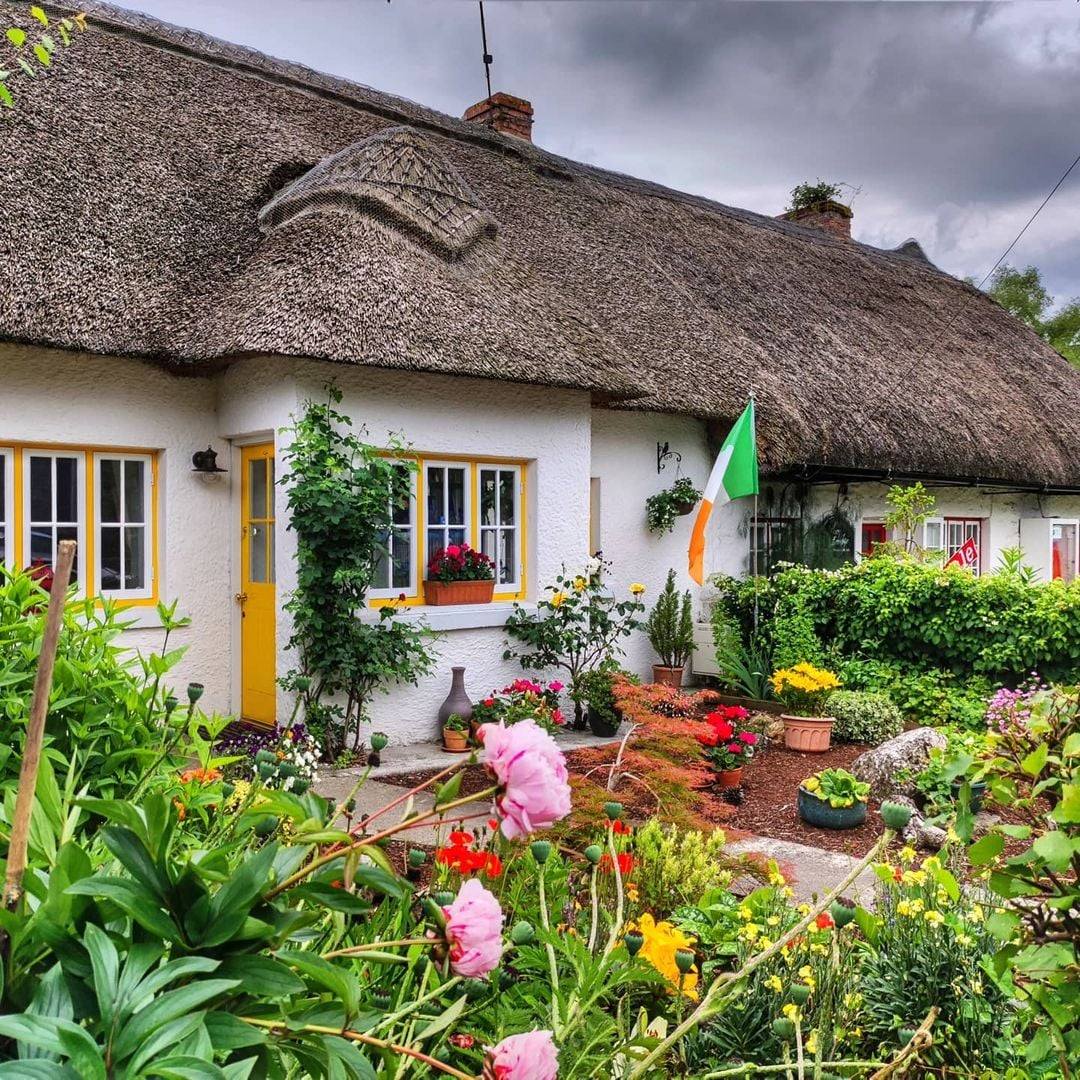 We Love Ireland tweet media