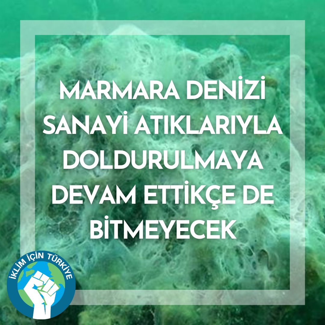 IklimTR's tweet photo. MÜSİLAJ SORUNU BİTMEDİ! 💥

Geçtiğimiz yıl yaz aylarında Marmara Denizi'nde görülen müsilaj felaketi denizin diplerinde görülmeye devam ediyor.

Müsilajın engellenmesi için fabrikaların atıklarını Marmara'ya bırakmaması gerekiyor🌿

#marmaradenizi #müsilaj #ekosistem #iklimkrizi https://t.co/d4RYTjdkQ2