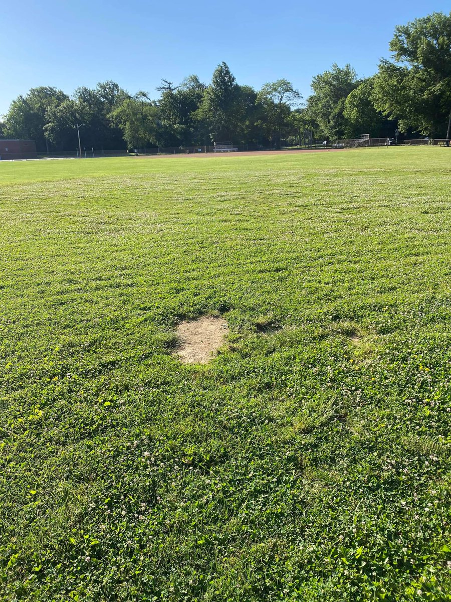 Homefield_'s tweet photo. Another grass to infield skin project, but this time in Cleveland Heights, OH. @jason_jacobs11 and crew did 2 separate 2" lifts for a 4" cap of @DuraEdge Classic and topped the new softball field with 4 tons of PlayBall conditioner. https://t.co/sPpnkMDeH9