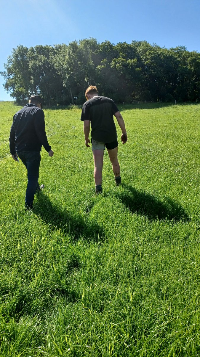 EllaAnu's tweet photo. Thank you so much @RichTudorLlysun @JnrTudorLlysun for the visit yesterday! Wonderful to see Richard's dreams going on strong and how you run the farm with your soul.We learnt a lot from you!#youngfarmers #nextgeneration #grassland #management #bestpractises @ProAgria @JStorberg https://t.co/5xkQHrUTKt