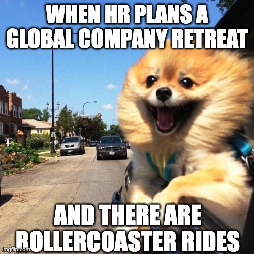 Localyze tweet media