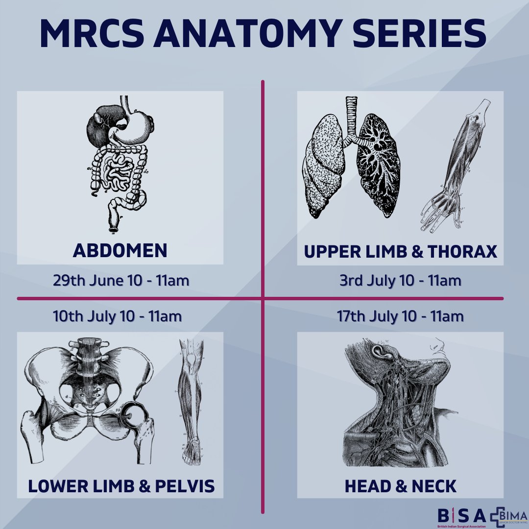 We are excited to announce our 4-part MRCS Anatomy Teaching Series! Join us for high yield learning for upcoming MRCS exams - sign up using link in our bio. 
<a href="/BimaJDW/">BIMA Junior Doctor Wing</a> 

#juniordoctor #surgery #mrcs #nhs