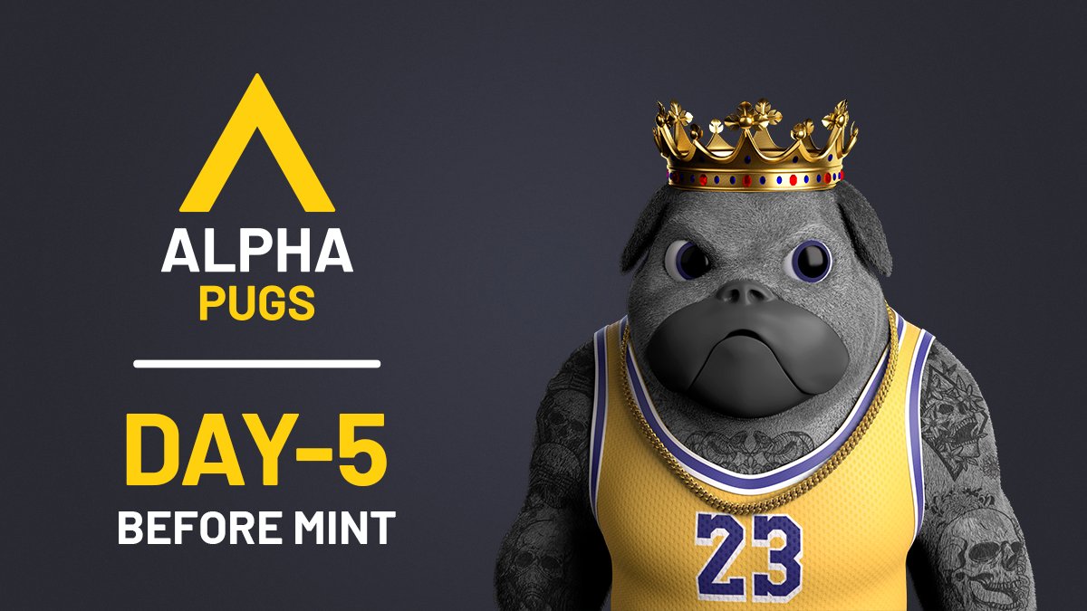TheFrenchiesNFT's tweet photo. We're so close, only 5 days left! 🔥Our team is working day and night to prepare and hype up mint, so give a retweet to show your support. ❤️
#SolanaNFT #NFTs #SolanaSummer https://t.co/GrVuqftJRi