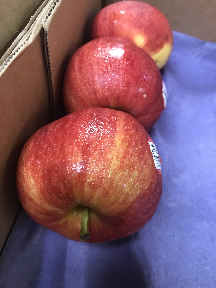 Trozie3 (@trozie2) on Twitter photo IAHAO Safety supporting hydration with a Fruit & Water day. SA Donald Flores- ‘It’s so hot in Texas the apples are sweating’ <a href="/weareunited/">We Are United</a> <a href="/AOSafetyUAL/">AO Safety UAL</a> <a href="/JohnK_UA/">John Kleberg</a> <a href="/SashaJDC/">Sasha Johnson</a> <a href="/AntwonWarden/">Antwon Warden</a> <a href="/philgriffith63/">Phil</a> IAHAO Safety supporting hydration with a Fruit & Water day. SA Donald Flores- ‘It’s so hot in Texas the apples are sweating’ <a href="/weareunited/">We Are United</a> <a href="/AOSafetyUAL/">AO Safety UAL</a> <a href="/JohnK_UA/">John Kleberg</a> <a href="/SashaJDC/">Sasha Johnson</a> <a href="/AntwonWarden/">Antwon Warden</a> <a href="/philgriffith63/">Phil</a> 