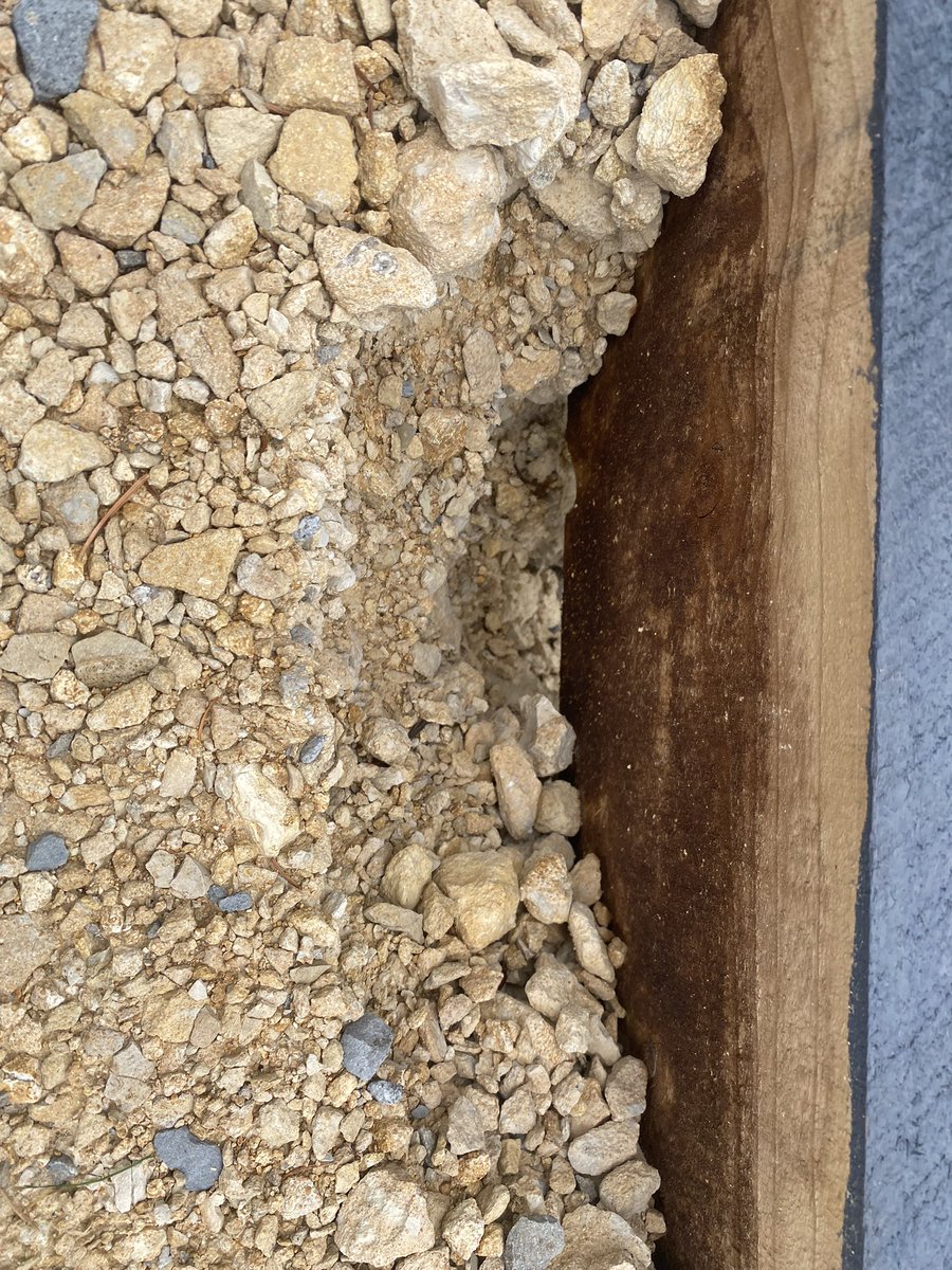 GK Wilson Gardens tweet media