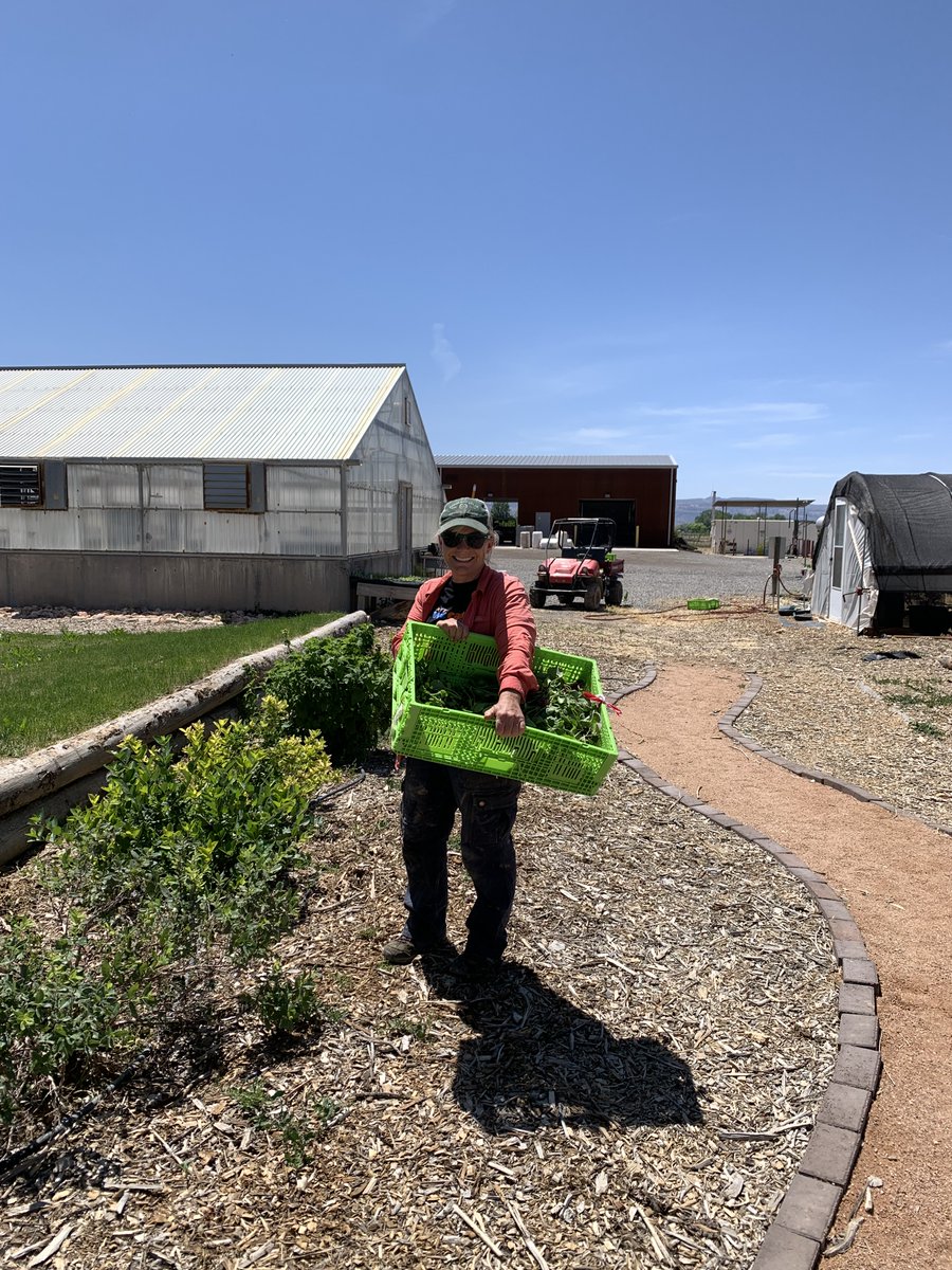 Introducing Amanda McQuade, working out of Western Colorado Research Center in Orchard Mesa she is running the Community Alliance for Education and Hunger Relief program-comprised of farm to food bank and farm to school direct food donations. #hungerrelief #agricultureeducation
