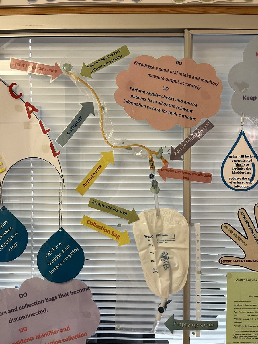 Charlotte Towning tweet media