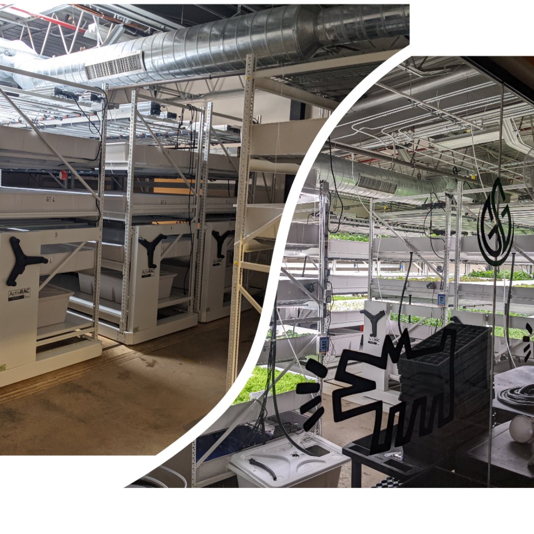 WELP....
Photo on the left - when we expanded..
Photo on the right - just 5 months later - we sold out all the produce....

Gotta laugh at the naysayers sometimes....We need to expand too..lol
 #fooddessert #foodinsecurity #blackownedbusiness #hydroponics #verticalfarming