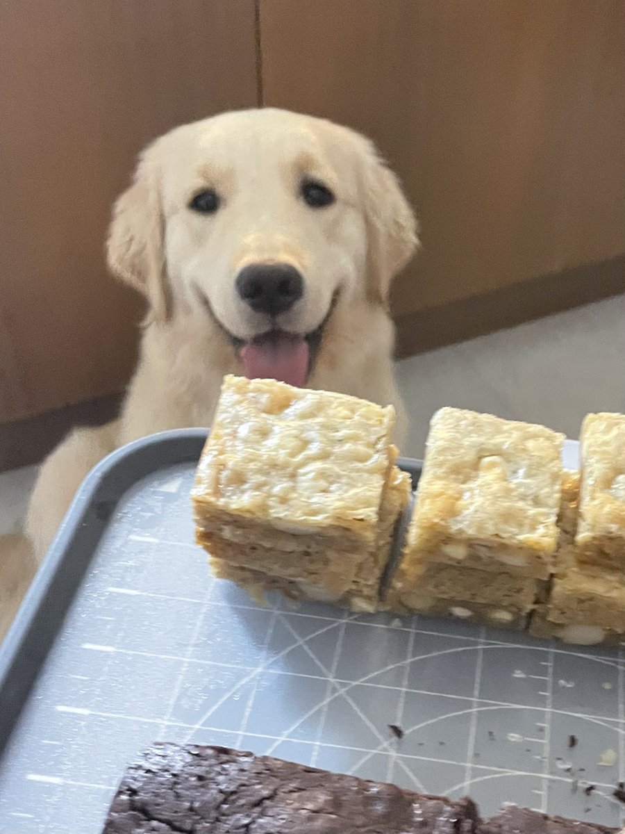 butter tweet media