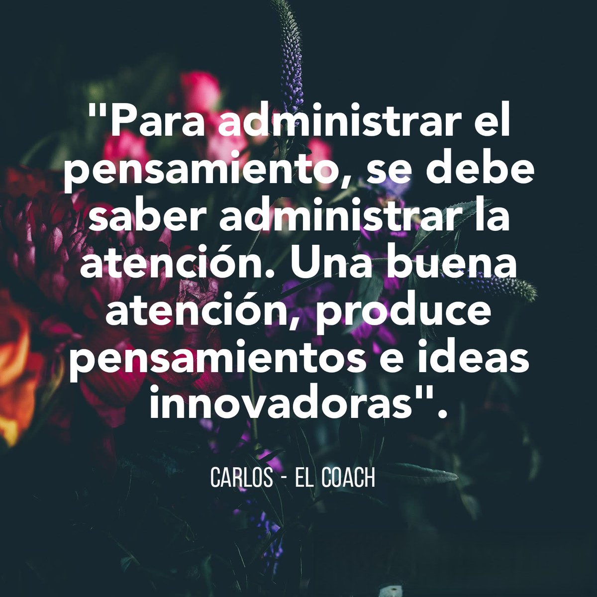 CarlosElCoach's tweet photo. https://t.co/zlTH2KibgL