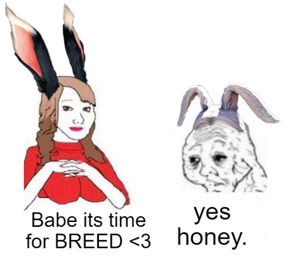 Viera Rabbit Meme /r/FFXIV on Twitter: