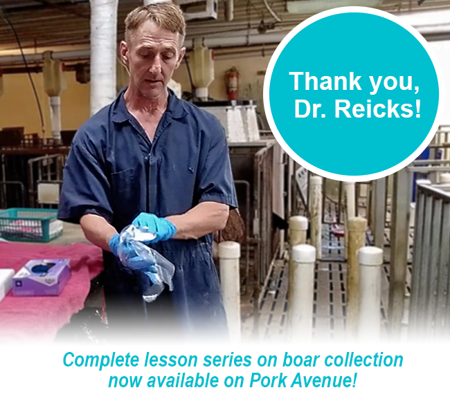 DocSarahDVM's tweet image. Our sincerest gratitude… - mailchi.mp/porkavenuetrai…