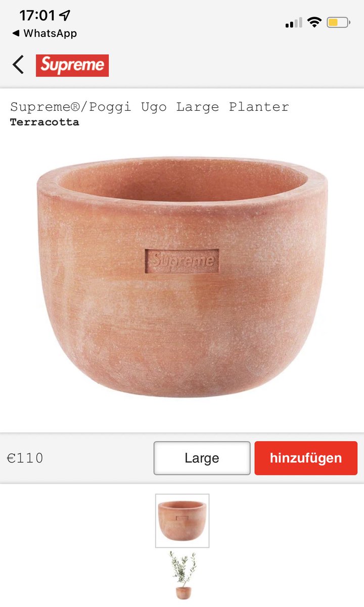 Supreme / Poggi Ugo Large Planter www.krzysztofbialy.com