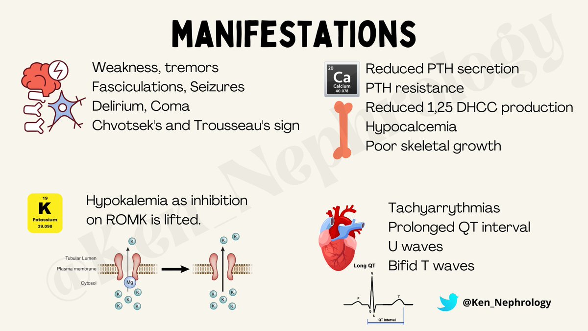 Ken_Nephrology's tweet photo. #KenMakesNephrologyEasy
#KenEasyNotes
#KENSeries

📌Hypomagnesemia https://t.co/dMYJvVysHo