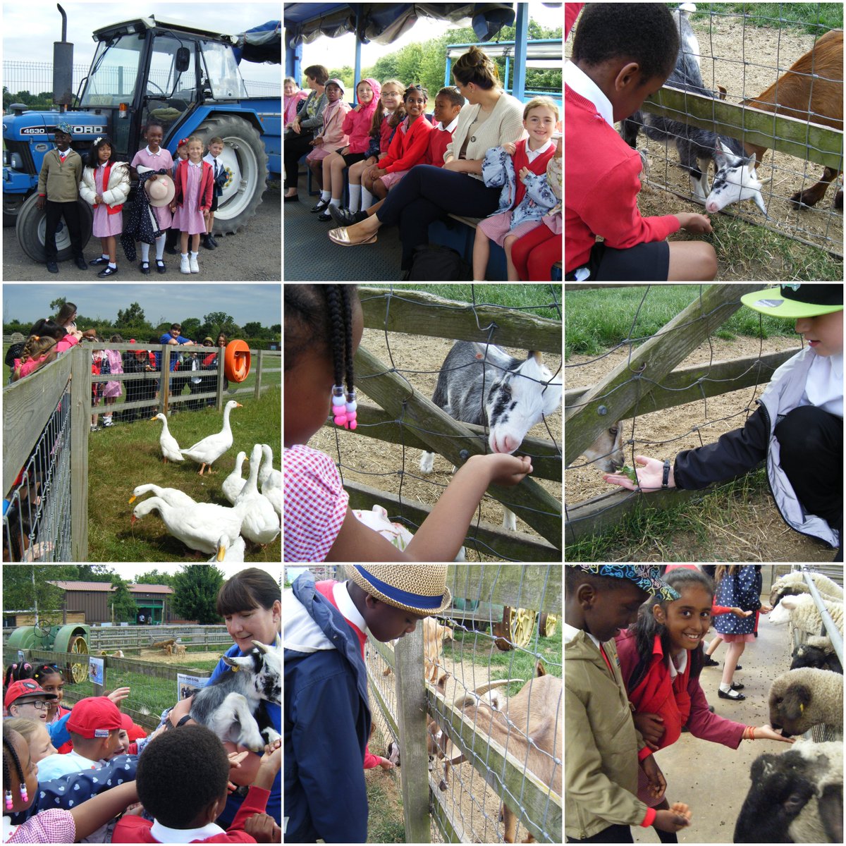 West Thurrock Academy tweet media