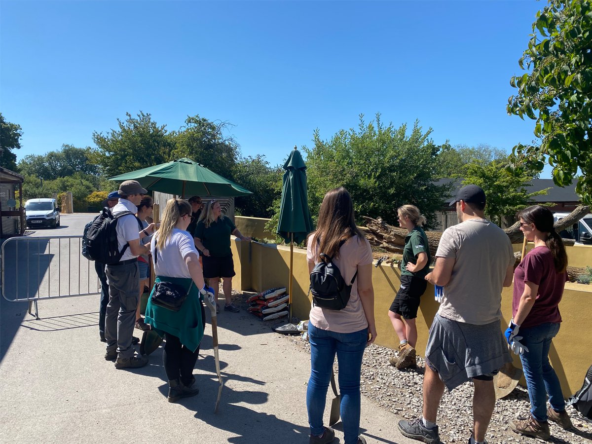 promegauk's tweet photo. On the hottest day of the year yesterday, our UK marketing team volunteered at Marwell Zoo near Winchester. Their task for the day was to plant new shrubs in the Meerkat enclosure. The team managed to plant over 100 in temps of over 30C! #LifeatPromega @Marwellwildlife https://t.co/OaTvem9kT4