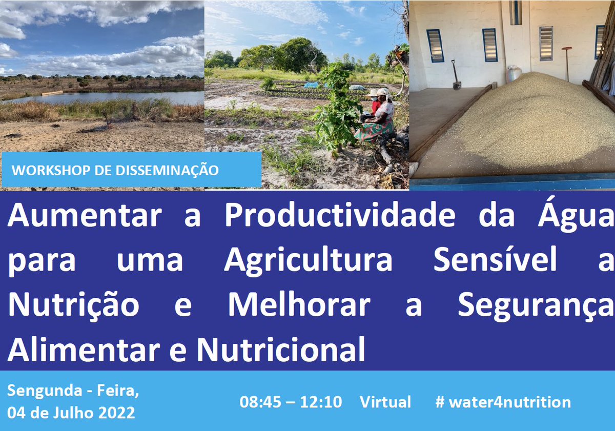 NsAWP Dissemination Workshop in Mozambique. #water4nutrition #nutritionsensitiveagriculture #ifad #fao #SaveTheDate