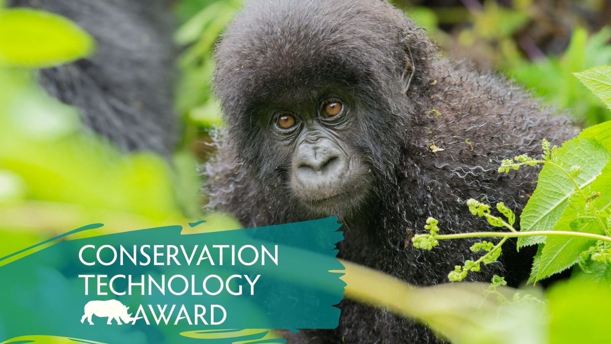 Are you developing tech to protect wildlife? We want to hear from you! The Conservation Technology Award is providing two grants — $15K each — to organizations that are innovating for wildlife. bit.ly/3QRdJrI  @EarthRangerTech‌‌ #CTAward #AIforConservation