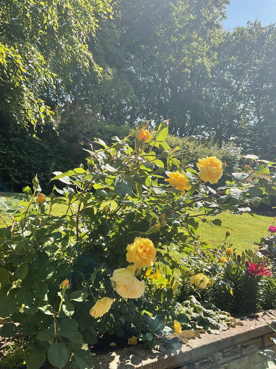 It’s grim up north #Cumbria #Brampton #GardenTime A bit hot, mind. By the way, how’s it going in Wakey?