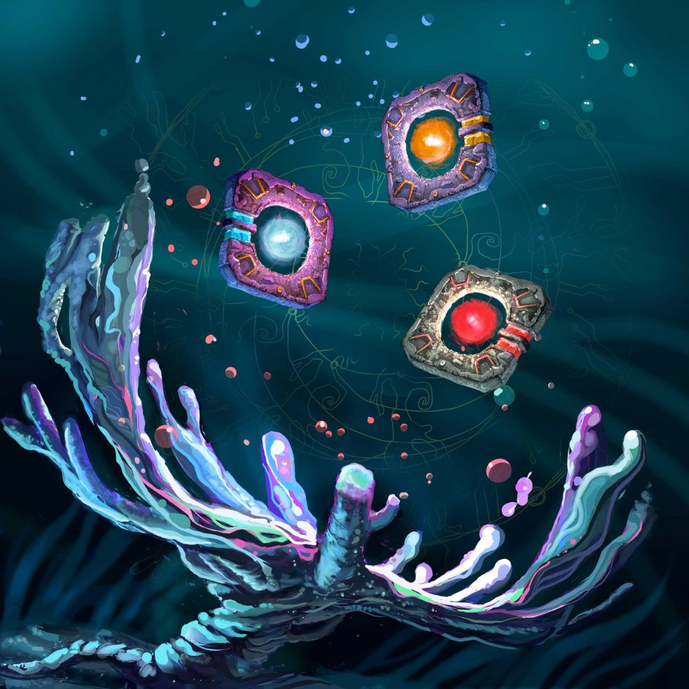 Coral Tribe 🌊 tweet media