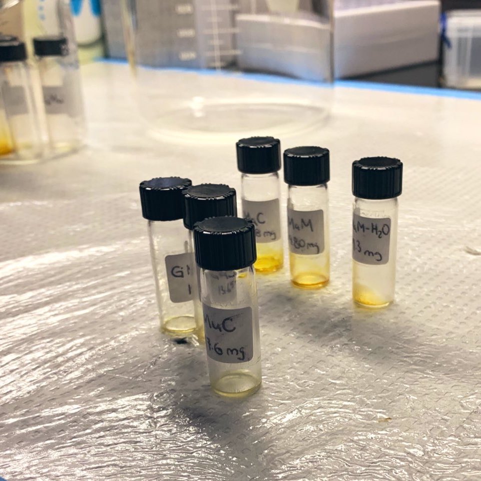 huertorico's tweet photo. Estamos sumamente emocionados porque nuestro proyecto que busca avanzar las técnicas de cultivo para especies de Reishi nativas y endémicas de Puerto Rico fue seleccionado para recibir una subvención SBIR de @USDA_NIFA https://t.co/3LJHRxVTpp