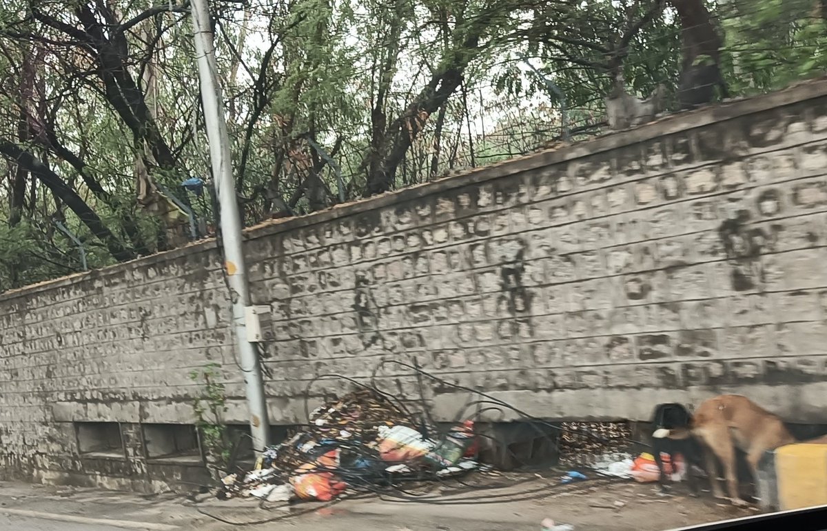 Adwant R tweet media