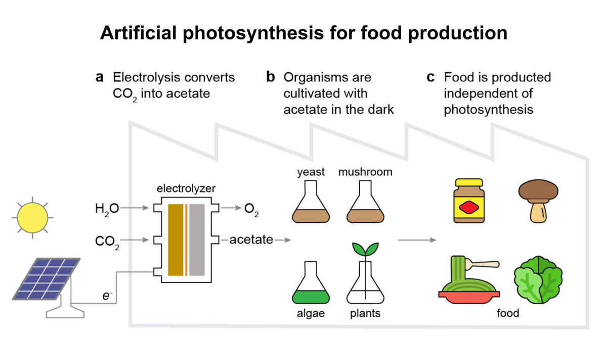 Our paper “A hybrid inorganic–biological artificial photosynthesis system for energy-efficient food production” is out @NatureFood! We propose a new technology for energy efficient food production independent of biological photosynthesis. 1/👇 nature.com/articles/s4301…