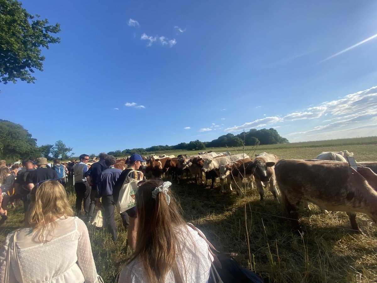 Megan Powell tweet media