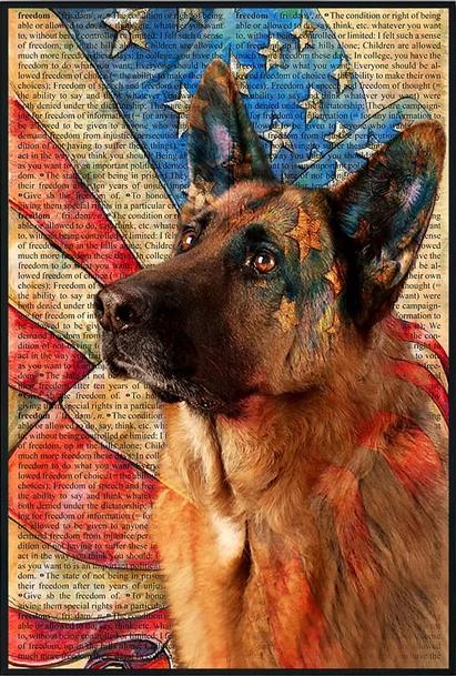 CardsMejo's tweet photo. https://t.co/iM05dNBSoC
German Shepherd Pride US Flag
Time left - 2 days https://t.co/KI82feoA1S