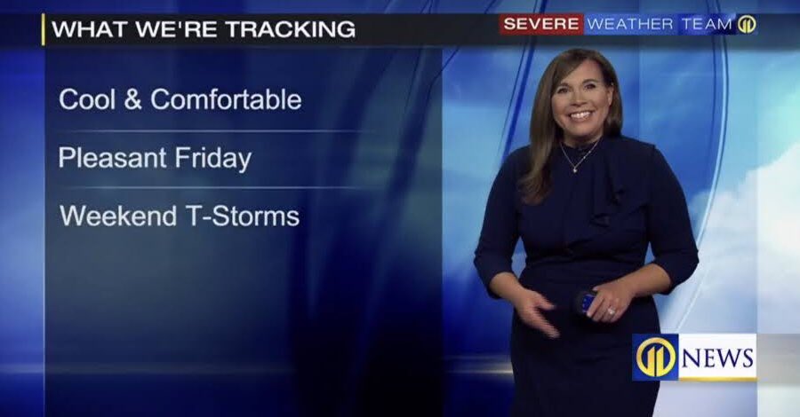 Stephanie Allison tweet media