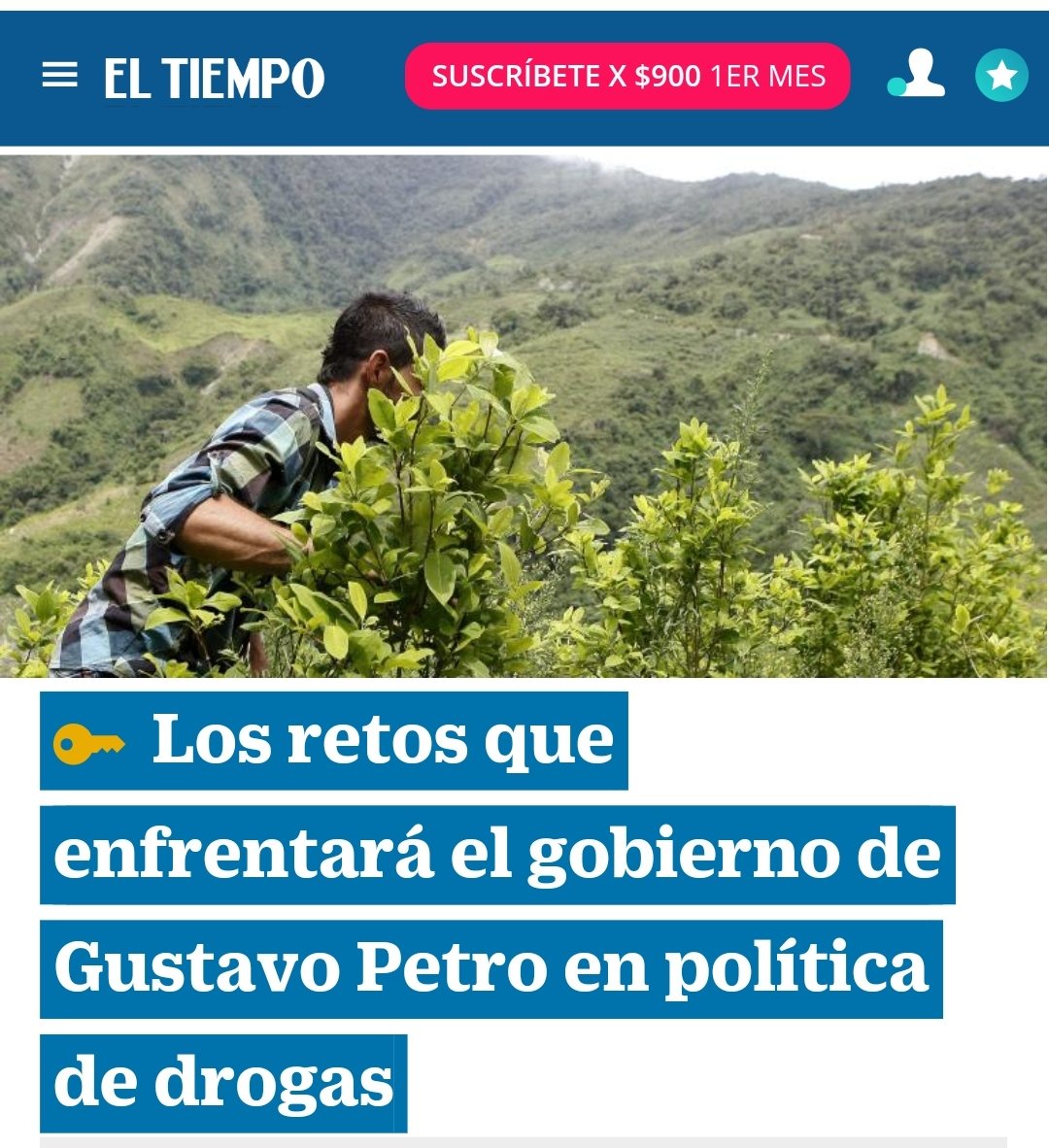 AcciónTécnicaSocial (@acciontecnica) on Twitter photo <a href="/CesedUniandes/">CESED/UNIANDES</a> <a href="/Dejusticia/">Dejusticia</a> <a href="/CEJ_JUSTICIA/">Corporación Excelencia en la Justicia (CEJ)</a> <a href="/acciontecnica/">AcciónTécnicaSocial</a>
aportan, desde su experiencia y conocimiento, análisis y propuestas para materializar las propuestas de <a href="/petrogustavo/">Gustavo Petro</a> en drogas. <a href="/CarolinaCorcho/">Carolina Corcho</a> <a href="/DanielRMed/">Daniel Rojas Medellin</a> <a href="/MauricioLizcano/">Mauricio Lizcano</a>
eltiempo.com/justicia/inves… <a href="/CesedUniandes/">CESED/UNIANDES</a> <a href="/Dejusticia/">Dejusticia</a> <a href="/CEJ_JUSTICIA/">Corporación Excelencia en la Justicia (CEJ)</a> <a href="/acciontecnica/">AcciónTécnicaSocial</a>
aportan, desde su experiencia y conocimiento, análisis y propuestas para materializar las propuestas de <a href="/petrogustavo/">Gustavo Petro</a> en drogas. <a href="/CarolinaCorcho/">Carolina Corcho</a> <a href="/DanielRMed/">Daniel Rojas Medellin</a> <a href="/MauricioLizcano/">Mauricio Lizcano</a>
eltiempo.com/justicia/inves…