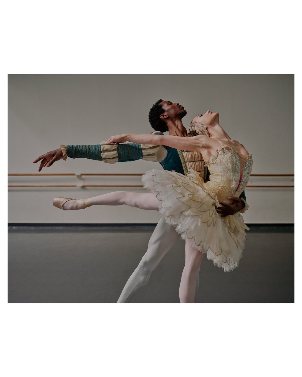 sasha arutyunova tweet media