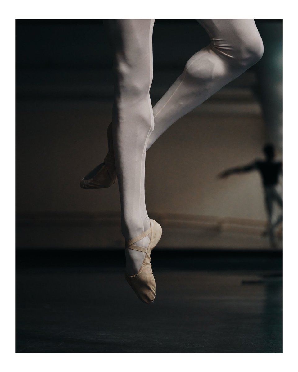 sasha arutyunova tweet media