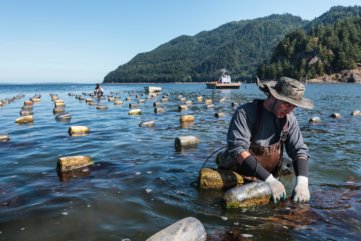 Googleorg's tweet image. At Google, we believe teamwork yields the best results, which is why we’re thrilled to announce the #GoogleOrgImpactChallenge on Climate Innovation. 

We&apos;re committing $30M to support projects that work to create a greener future. Apply today: g.co/climatechallen… 🌎