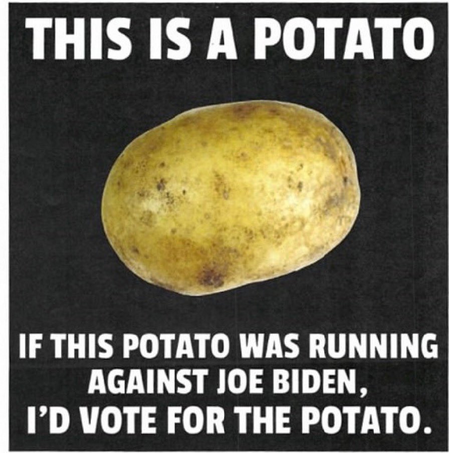 🇺🇸@America1Scotty I’d vote for you 🇺🇸 follow this great Patriot &amp; RT if you’d vote for him over Sleepy Joe 🇺🇸