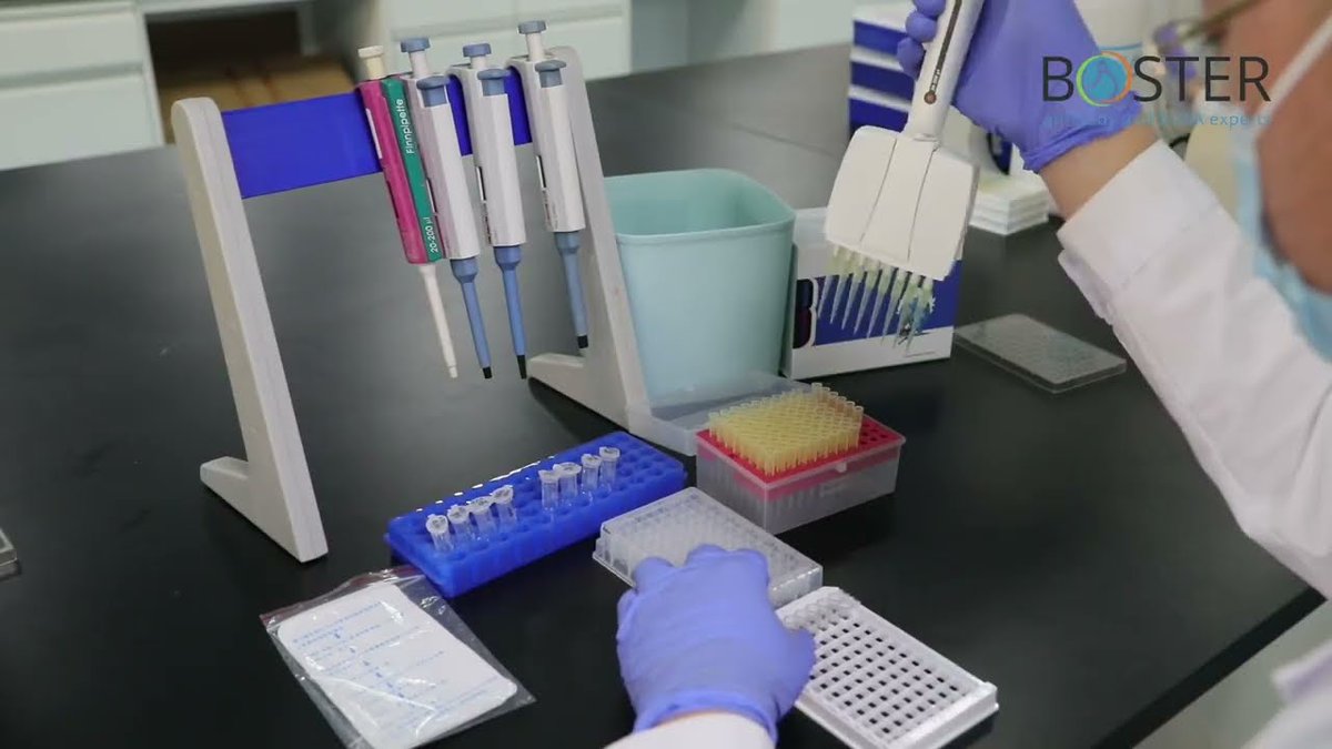 Check out the latest CD44 antibodies from <a href="/BosterbioCo/">Boster Bio</a> 

#cd44 #antibodies #polyclonal #monoclonal 
#research 

Click here
antibodyresource.com/site/show/comp…