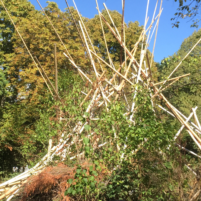 Dans un écrin de bambou, passez un après-midi poétique avec la compagnie Les Demains qui chantent et finissez l’après-midi lecture de poèmes avec un bal festif ouvert à tous·tes avec Pour un embrasement du vivant🌿
📅 26 juin de 14h à 18h30
bit.ly/3ObCfSu
