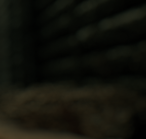 EXP: War Trauma tweet media