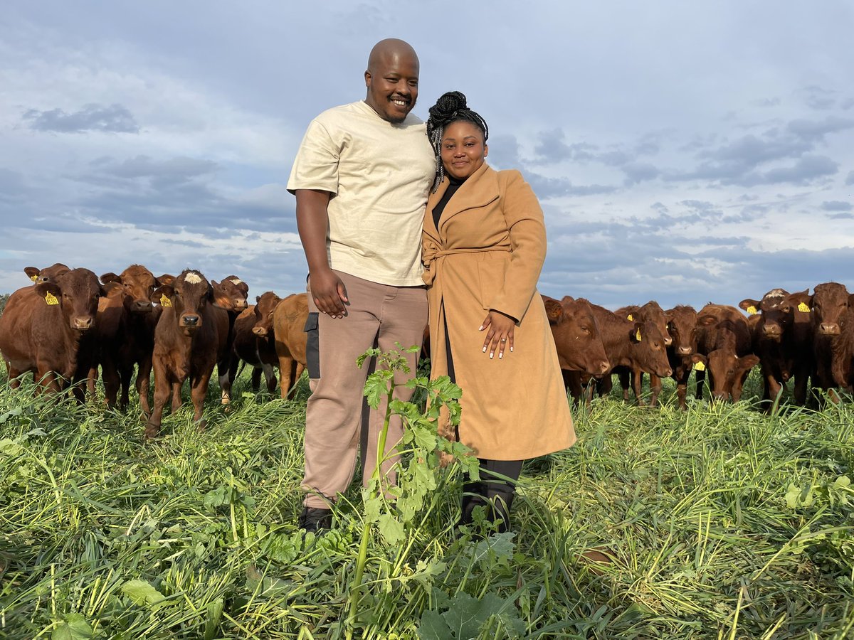 JamaKaSlwaneh's tweet image. 23.06.2022
She Said Yes.
#YoungAndHappy
#YoungAndFarming