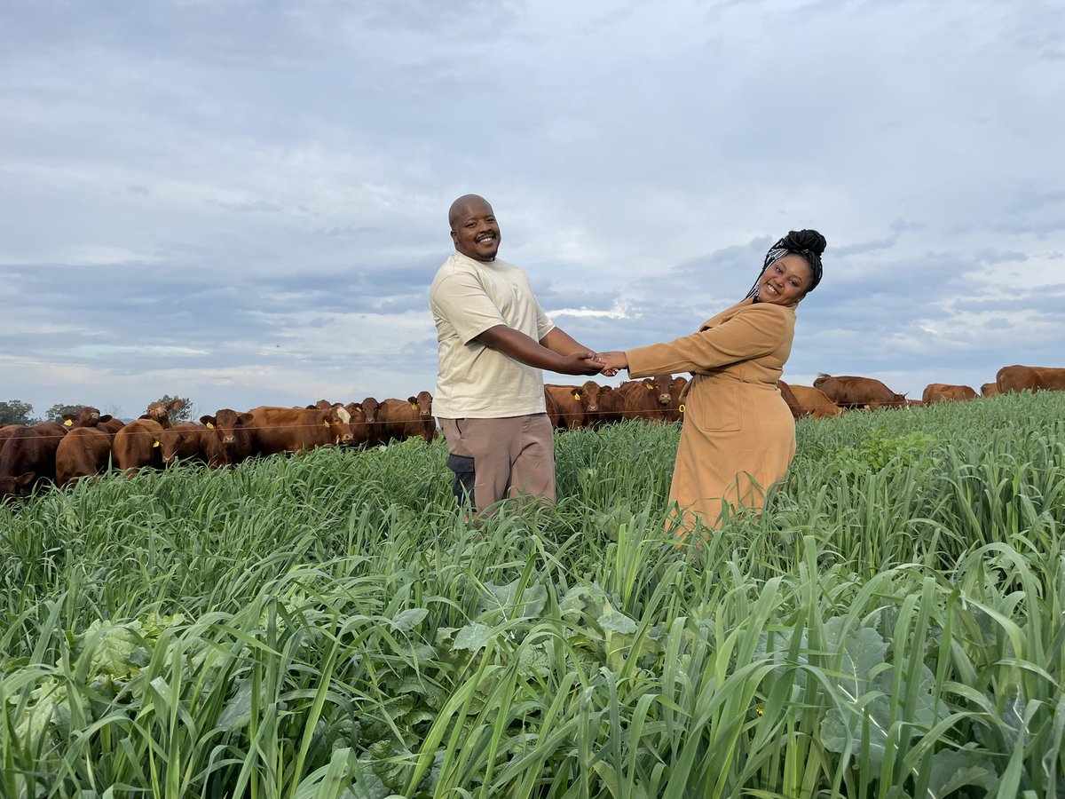 JamaKaSlwaneh's tweet image. 23.06.2022
She Said Yes.
#YoungAndHappy
#YoungAndFarming
