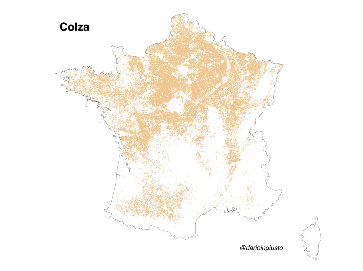 La France du Colza