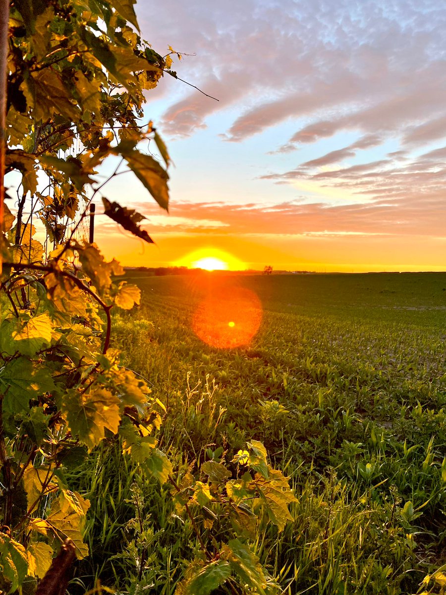 المحامي محمد الراجحي⚖️ tweet media