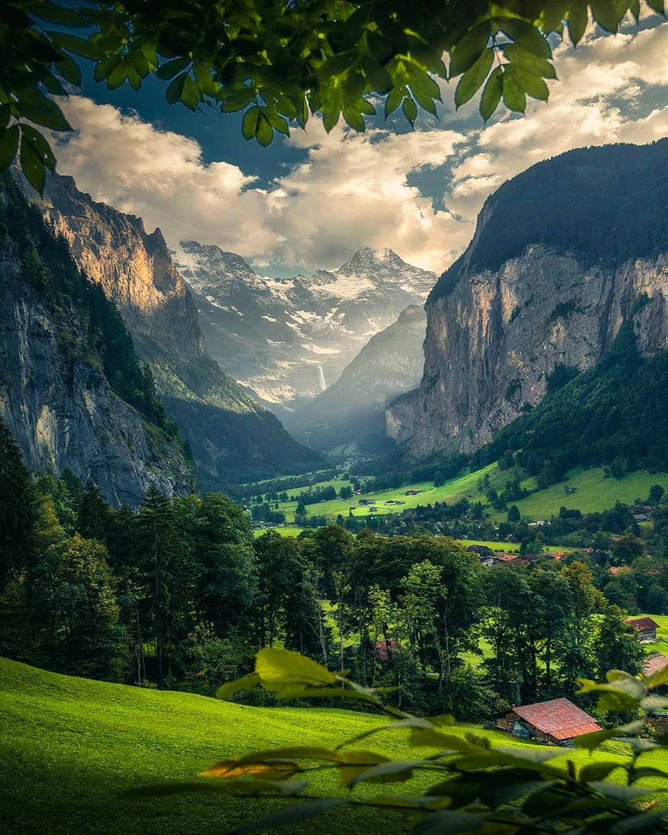 Lea 🌸🌿🕊️ tweet media