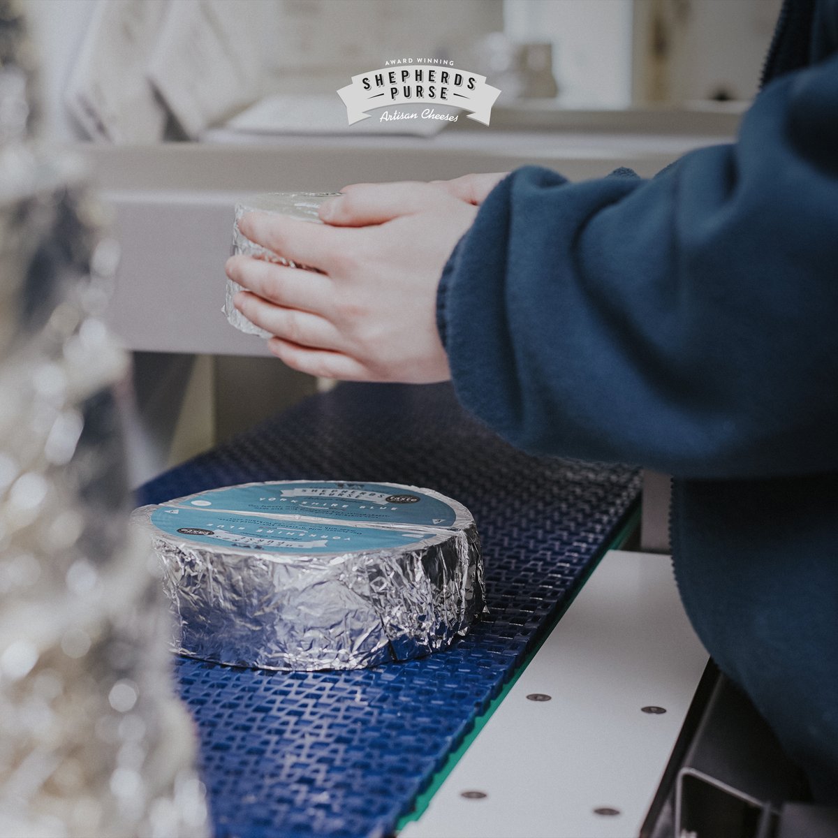 Shepherds Purse tweet media