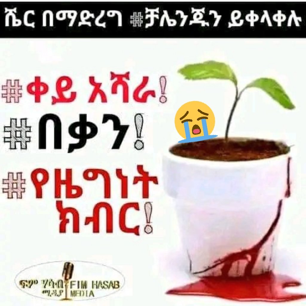 HailyeWww's tweet photo. #Amhara_Genocide_In_Oromia_Region 
#Amhara_Genocide https://t.co/SLf5M78hBn