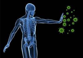 PerryChiro's tweet image. Chiropractic alignment of your spine improves nerve function and can boost your immune system up to 200%! Natural solutions are so much better than resorting to over the counter meds help your immune system.

📱 478-987-9666
✉️ perrychirowellness.com
#perrychiro #immuneboost