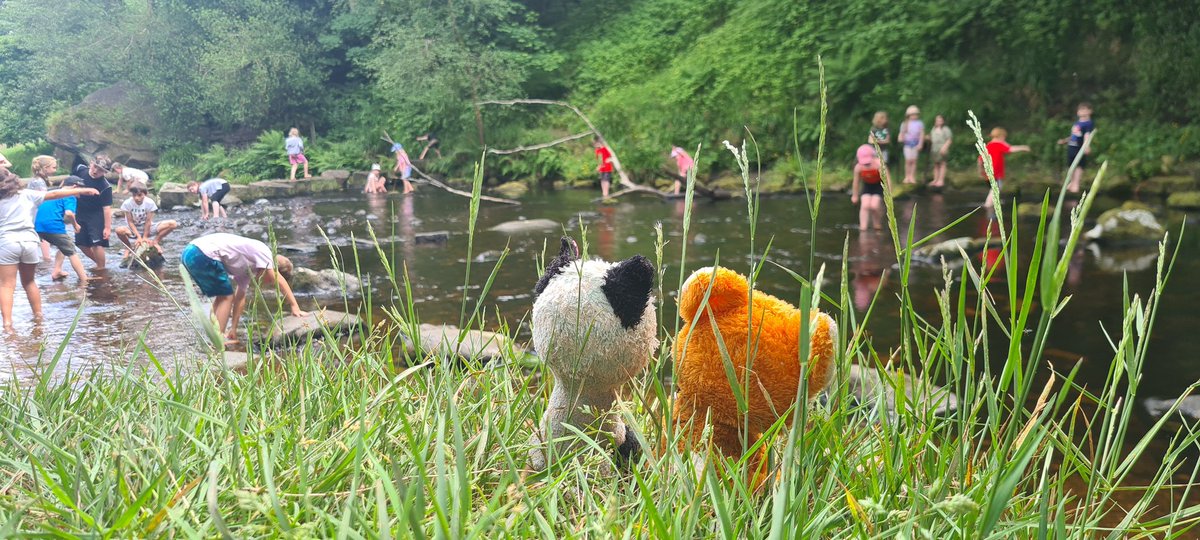 Shade: Maths (&more) tweet media